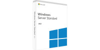 Microsoft Windows Server Standard 2022 (DVD, 24 Core)